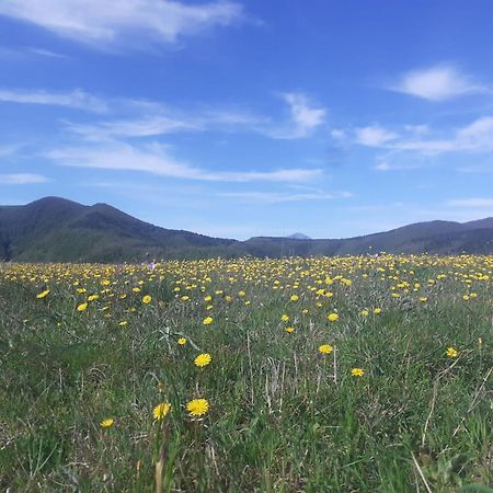 Serra San Quirico Agriturismo Becerca Vegan מראה חיצוני תמונה