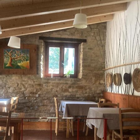 Serra San Quirico Agriturismo Becerca Vegan מראה חיצוני תמונה