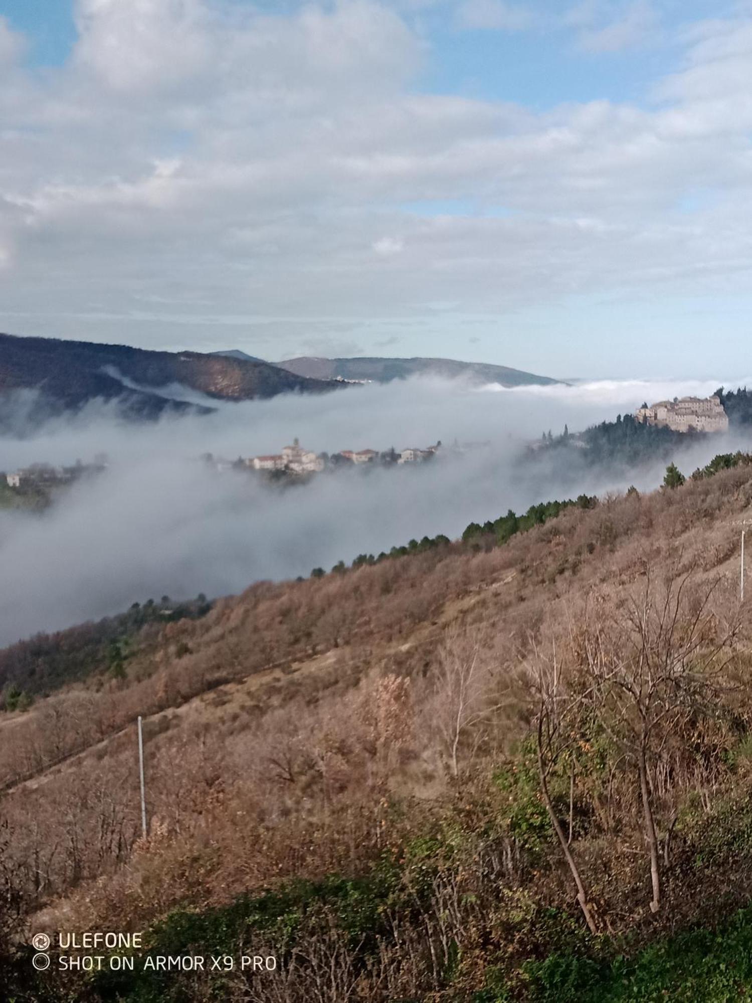 Serra San Quirico Agriturismo Becerca Vegan מראה חיצוני תמונה