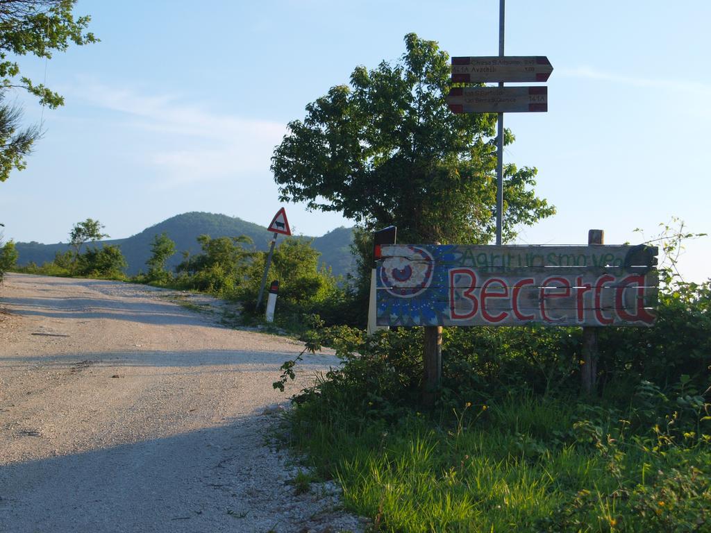 Serra San Quirico Agriturismo Becerca Vegan מראה חיצוני תמונה