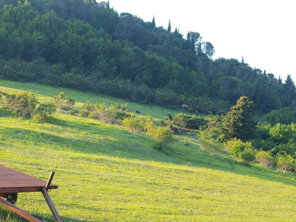 Serra San Quirico Agriturismo Becerca Vegan מראה חיצוני תמונה