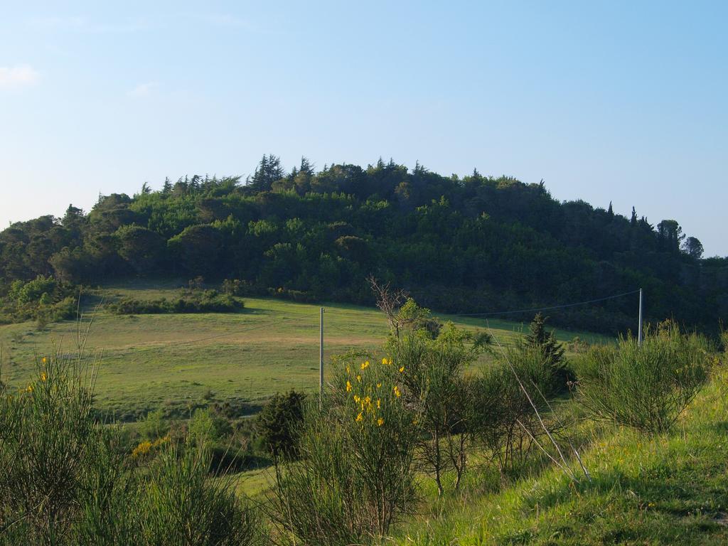 Serra San Quirico Agriturismo Becerca Vegan מראה חיצוני תמונה