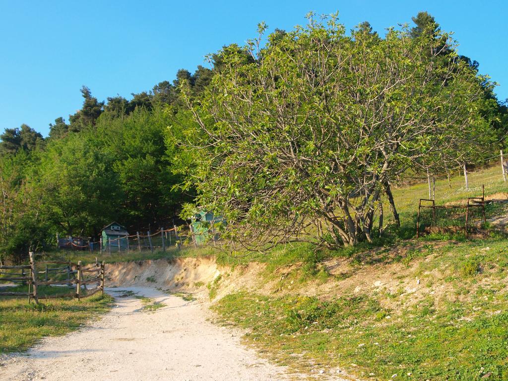 Serra San Quirico Agriturismo Becerca Vegan מראה חיצוני תמונה