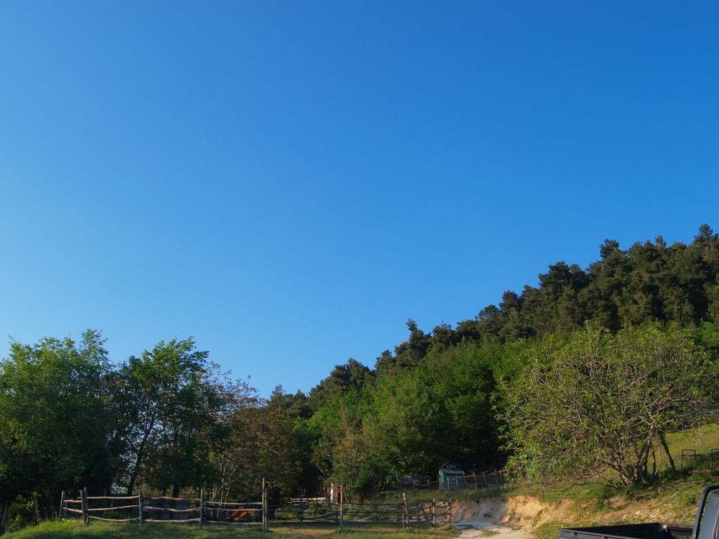 Serra San Quirico Agriturismo Becerca Vegan מראה חיצוני תמונה