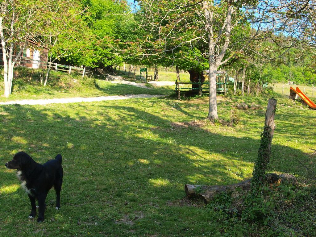 Serra San Quirico Agriturismo Becerca Vegan מראה חיצוני תמונה