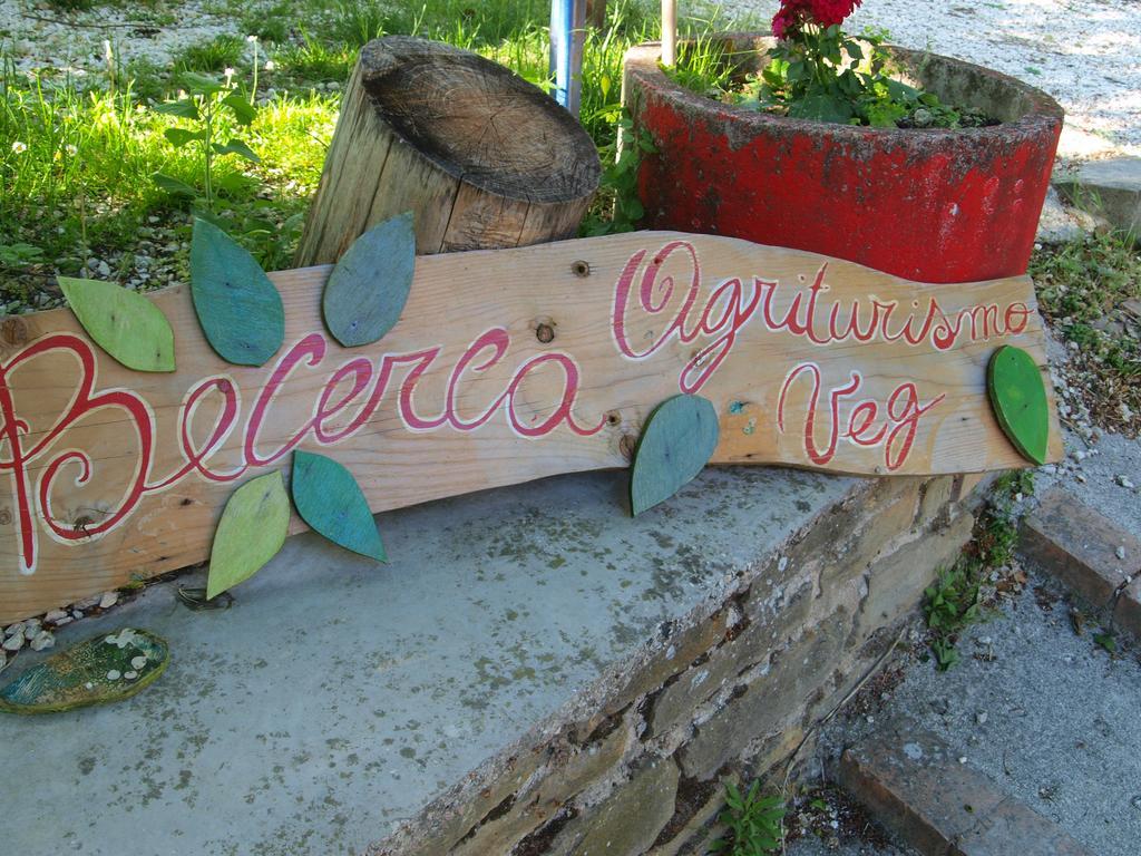 Serra San Quirico Agriturismo Becerca Vegan מראה חיצוני תמונה