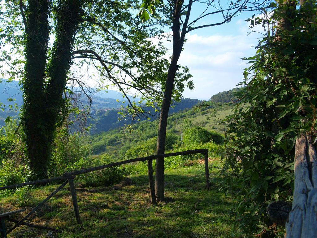 Serra San Quirico Agriturismo Becerca Vegan מראה חיצוני תמונה