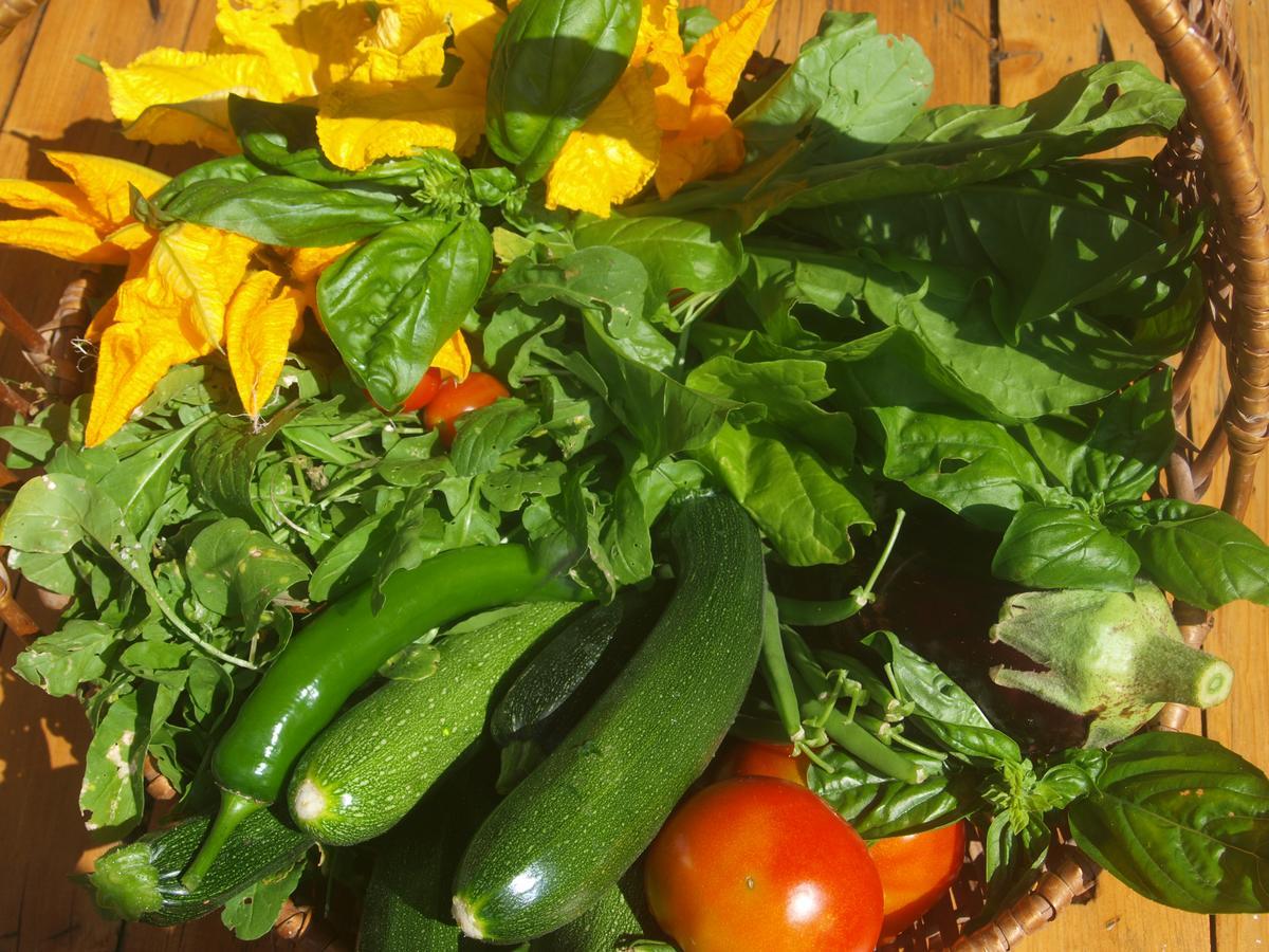 Serra San Quirico Agriturismo Becerca Vegan מראה חיצוני תמונה