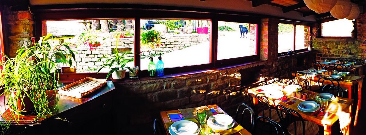 Serra San Quirico Agriturismo Becerca Vegan מראה חיצוני תמונה